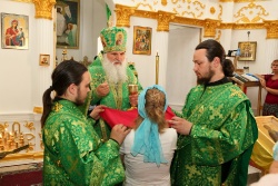 ����������� 146